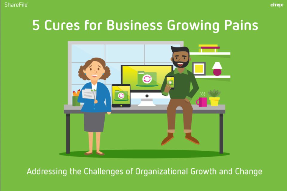 A growing business is a successful business, but it comes with its own set of complications. Growing pains can arise from new employees, added roles and responsibilities, and a premium on office space. <a href="5 Cures for Business Growing Pains.php" style="font-size: 16px;
font-weight: 300;
margin-bottom: 0;">Read More</a>